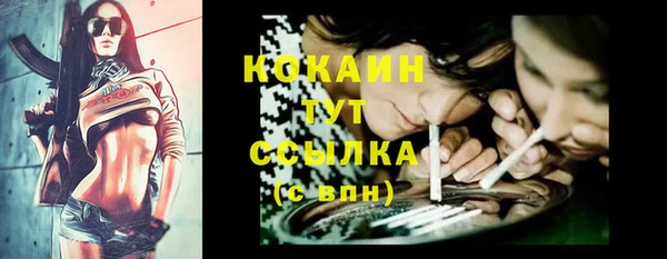 метадон Алексин