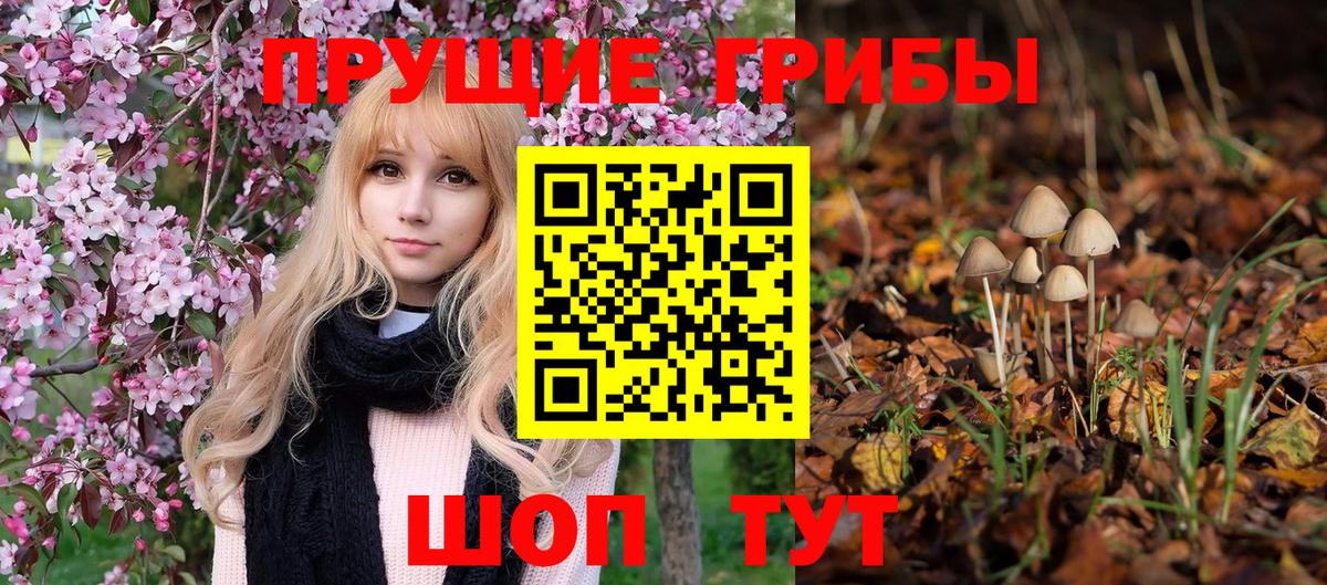 Балашов  Галлюциногенные грибы ЛСД  Вход с VPN  Галлюциногенные грибы GOLDEN TEACHER 